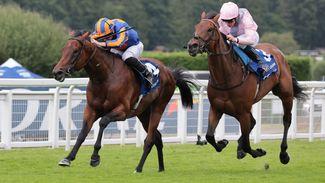 Confirmed runners and riders for the Sussex Stakes at Goodwood on Wednesday