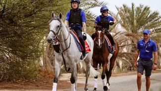 12.05 Bahrain: 'A million dollars is a big number and it’s brought big horses' - international battle for riches in Bahrain