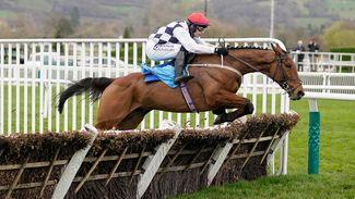 Ballyburn rated fourth-highest novice hurdler since Anglo-Irish jumps classifications began in 1999-2000