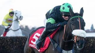 Youngsters the way to go in Champion Chase - and here's one who looks top value