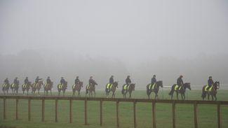 Jockey Club reduces gallops fees to ease strain during the coronavirus pandemic