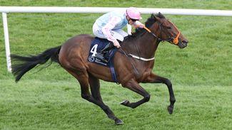 Paddy Twomey has Group 1 plans for exciting filly whose form was franked by Oaks winner Ezeliya