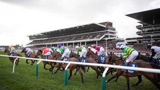 BHA to investigate Cheltenham Festival weights leak which put some punters a step ahead