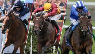 2023 Dewhurst Stakes at Newmarket: assessing the top contenders for Saturday's big juvenile race