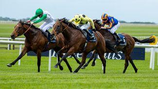 Irish 2,000 Guineas: Electric Rosallion tees up Notable Speech rematch with thrilling win over stablemate Haatem