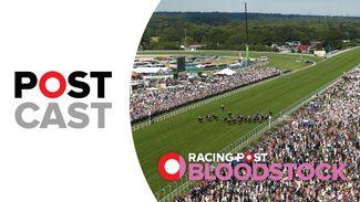 The team review this year's Royal Ascot and give an industry update