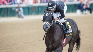 Kentucky Derby contender McCraken delivers at Tampa Bay in record time
