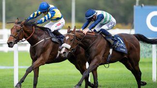 'Hopefully we haven’t finished yet' - Coltrane camp ready for Doncaster Cup rematch with Trueshan