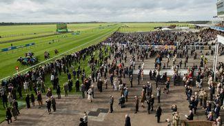 Going news and punting pointers on day one of the Craven meeting
