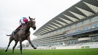 Why the Hong Kong government holds key to potential upturn for British racing