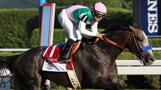 Baffert confident Arrogate can repeat the Travers dose