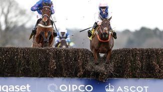 Patiently does it for Jefferson as her world fails to revolve around Cheltenham