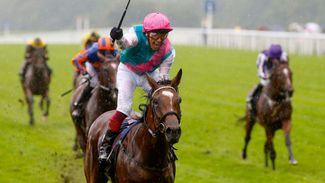 Enable emulates both sire and grandsire and promises riches at stud