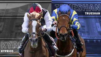 1.15 Ascot: Kyprios v Trueshan: analysis and key quotes for super Long Distance Cup clash
