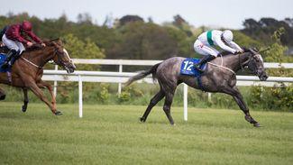Who's Steph bags another 1,000 Guineas trial with Derrinstown success