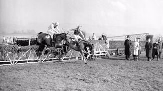 Post-war Peter Pans who made the Champion Hurdle