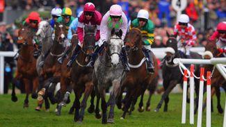 Rating the bankers - the festival favourites figures suggest we should back
