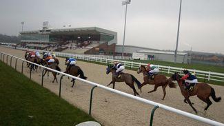 How a low draw could be the key to unlocking this Wolverhampton sprint