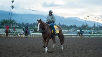 Stage set for bigger, stronger version of Chrome