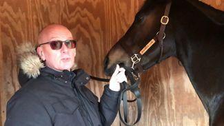 Snooker star Peter Ebdon on Harbour Law's stallion appeal