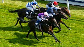 Eminent and Dettori to take on Ballydoyle stars at Leopardstown