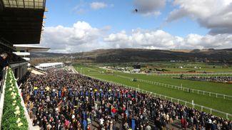 This time everyone is invited to the party at the Cheltenham Festival