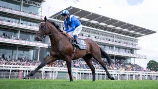 What does Baaeed need to do in the Champion Stakes to match the mighty Frankel?