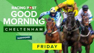 Watch: day four festival preview show live from Cheltenham