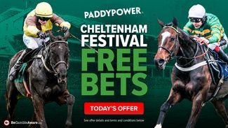 Paddy Power Cheltenham free bet: get £20 in for day four's races
