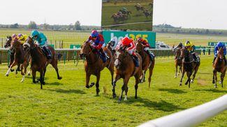 Franked with the royal seal – Ascot hopefuls boasting fabulous form 