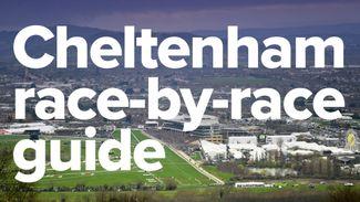 Richard Austen's analysis and tips for all 28 races at the Cheltenham Festival