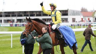 Our experts discuss the Gold Cup prospects of Lostintranslation and Topofthegame