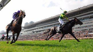 Hong Kong chief delighted with results of co-mingling