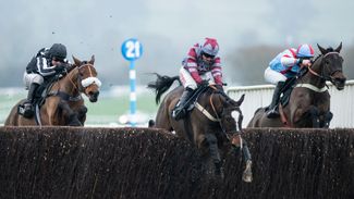 The big punters: how to play like a pro and profit at the festival