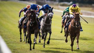 Sea Of Class denies Forever Together in pulsating Darley Irish Oaks