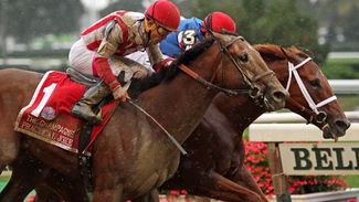 Grade 1 winners abound in hot-looking Juvenile