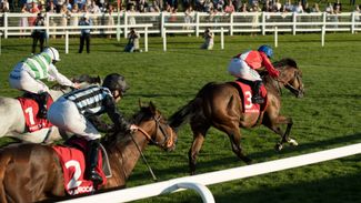 Sandown special: the great and good from Brigadier Gerard night