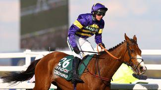 'We owe him so much' - Grand National hero Corach Rambler retired at the age of ten