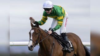 Punchestown: history is made as A Dream To Share wins fifth straight bumper and another Grade 1