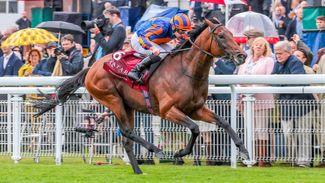 Aidan O'Brien reveals where Paddington will be in action next after a small break