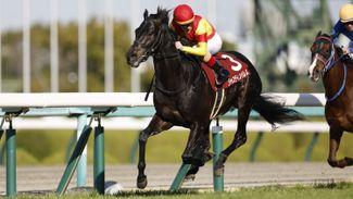 'He's matured and become more powerful' - Deep Impact's Justin Palace set for Tenno Sho Spring tilt