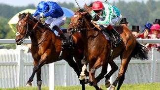 Melbourne Cup hope Elite Army in tough Group 1 test