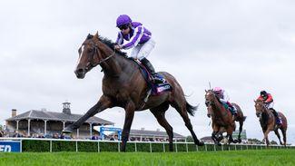 'It's all about Continuous' - St Leger hero to be supplemented for Arc as Aidan O'Brien relies on sole runner