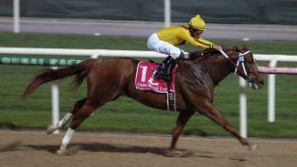 Irish War Cry can highlight credentials of Curlin as Classic sire