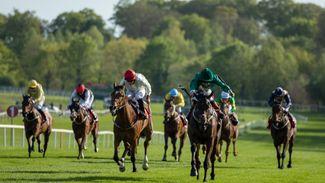 Oyster Stakes a puzzler but Yaxeni sets the standard on recent form