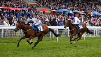 Leading fancy Main Desire ruled out after setback