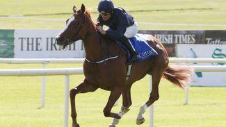 Shalaa should account for Group 3 rivals on first start of year