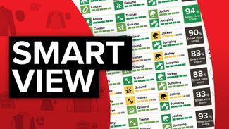 Smart View: find out who comes out top in the Lockinge Stakes at Newbury according to our revolutionary racecard