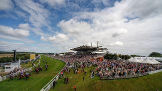 Rapid response required from racecourses after sickening Goodwood fracas