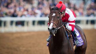 Songbird sale at Fasig-Tipton could enter the record books